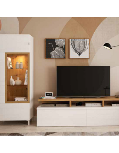 Composición salón mueble tv y vitrina